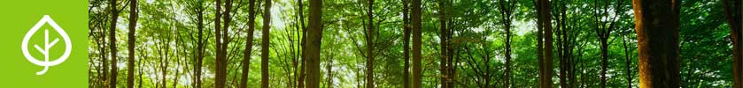 umwelt-header